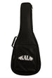 Solid Spruce Top Pau Ferro Tenor Guitar