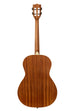 Solid Spruce Top Mahogany Tenor Guitar