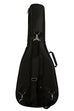 Solid Spruce Top Pau Ferro Tenor Guitar