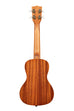 A Hibiscus Mahogany Concert Ukulele shown at a back angle