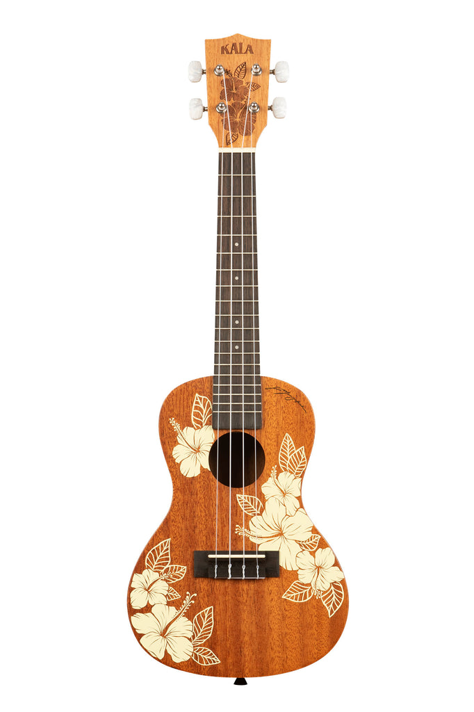 A Hibiscus Mahogany Concert Ukulele shown at a front angle