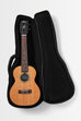 James Hill Signature All Solid Mahogany Concert with EQ (JH2)