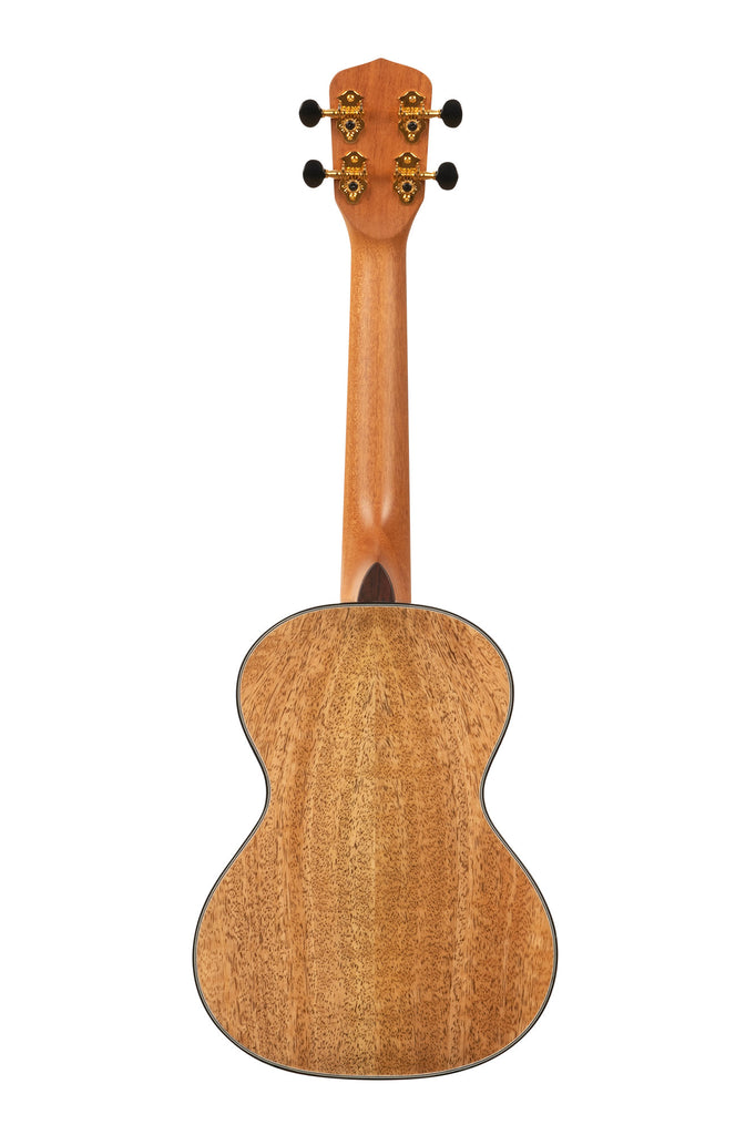 A All Solid Curly Mango Metropolitan™ Concert Ukulele shown at a back angle