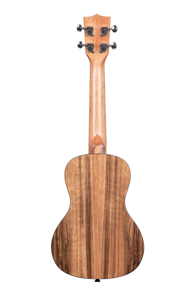 A Pacific Walnut Concert Ukulele shown at a back angle