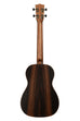 BLEM - Solid Spruce Top Striped Ebony Baritone Ukulele