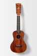 PREORDER: All Solid Mahogany Taro Patch Concert Ukulele with Bag