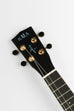 West Coast Woods Birdseye Maple Top Concert Ukulele