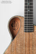 Revelator™  Mango Emperor Nautilus Baritone Ukulele