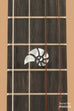 Revelator™ Nautilus Hawaiian Koa Tenor Ukulele