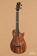 Revelator™ Nautilus Hawaiian Koa Tenor Ukulele