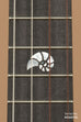 Revelator™ Nautilus Myrtle Top Tenor Ukulele