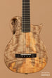 Revelator™ Nautilus Limited Master Grade Mango Tenor Ukulele