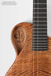 Revelator® Nautilus Limited Mango Tenor Ukulele