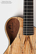 Revelator® Nautilus Limited Spalted Maple Sapele Baritone Ukulele