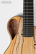 Revelator® Nautilus Limited Spalted Maple Sapele Tenor Ukulele