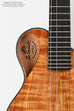 Revelator® Nautilus Limited Hawaiian Sugi Tenor Ukulele