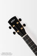 Revelator® Nautilus Limited Hawaiian Sugi Tenor Ukulele