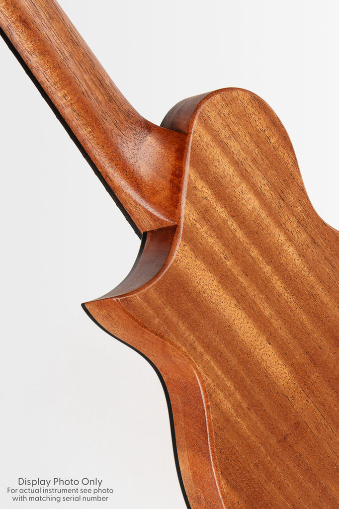Revelator® Nautilus Limited Hawaiian Sugi Tenor Ukulele