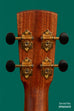 Revelator™  Mango Emperor Nautilus Tenor Ukulele