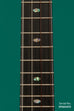 Revelator™  Mango Emperor Nautilus Tenor Ukulele