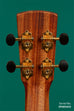 Revelator™  Mango Emperor Nautilus Tenor Ukulele