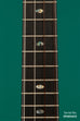 Revelator™  Mango Emperor Nautilus Tenor Ukulele