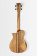 Revelator® Nautilus Limited Tochi Tenor Ukulele