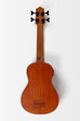 Nomad Acoustic-Electric U•BASS®