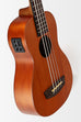 Nomad Acoustic-Electric U•BASS®