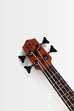Nomad Acoustic-Electric U•BASS®