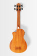 Scout Fretless Acoustic-Electric U•BASS®