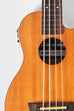 Scout Fretless Acoustic-Electric U•BASS®