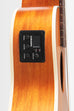 Scout Fretless Acoustic-Electric U•BASS®
