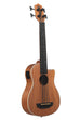 BLEM - Scout Fretless Acoustic-Electric U•BASS®