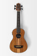 Teak Acoustic-Electric U•BASS®
