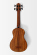 Teak Acoustic-Electric U•BASS®