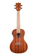 BLEM - Satin Mahogany Concert w/ EQ