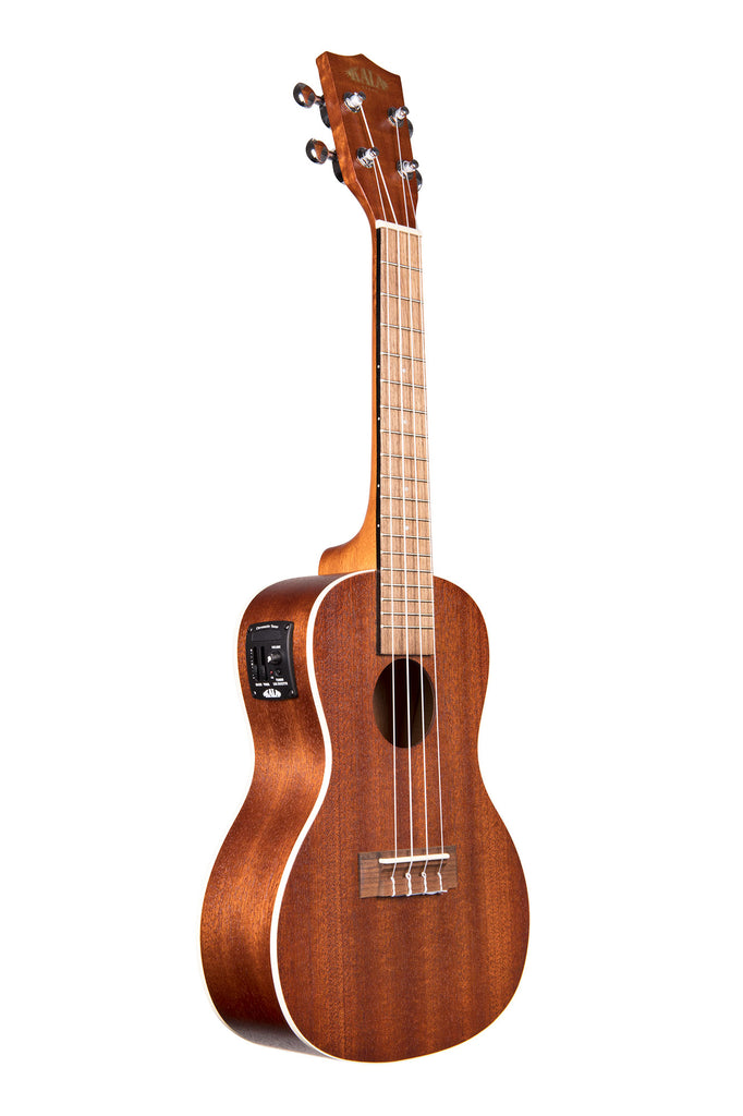BLEM - Satin Mahogany Concert w/ EQ
