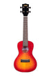 BLEM - Gloss Flame Maple Cherry Burst Concert