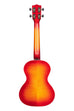 BLEM - Gloss Flame Maple Cherry Burst Tenor