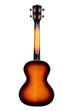 BLEM - Gloss Flame Maple Sunburst Tenor