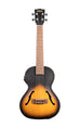 BLEM - Archtop Tobacco Burst Tenor