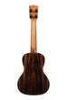 BLEM - Premier Exotic Ebony Concert Ukulele