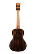 Premier Exotic Ebony Concert Ukulele