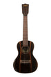 BLEM - Premier Exotic Ebony Concert Ukulele