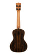 BLEM - Premier Exotic Ziricote Concert Ukulele