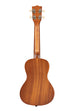 BLEM - Swell Concert Ukulele
