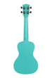 A Aqua Mist Glow-in-the-Dark Concert Waterman shown at a back angle