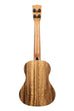 A Oregon Myrtle Tenor shown at a back angle