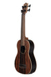 BLEM - Striped Ebony Fretless Acoustic-Electric U•BASS®